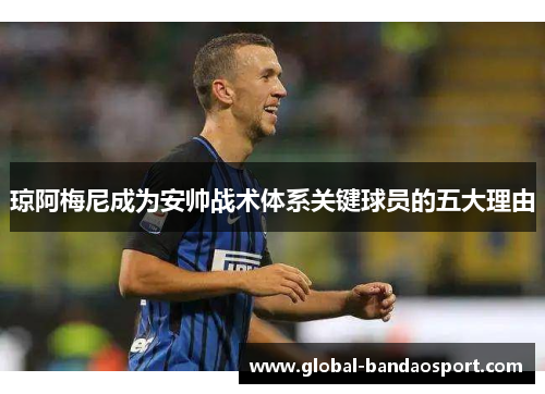 琼阿梅尼成为安帅战术体系关键球员的五大理由