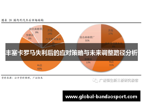 丰塞卡罗马失利后的应对策略与未来调整路径分析