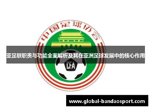 亚足联职责与功能全面解析及其在亚洲足球发展中的核心作用