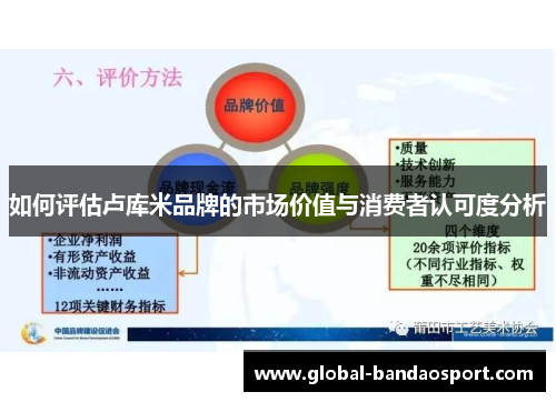 如何评估卢库米品牌的市场价值与消费者认可度分析